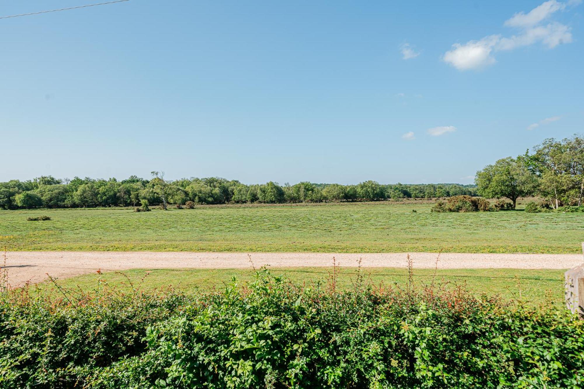 Beautiful In With Forest View Brockenhurst